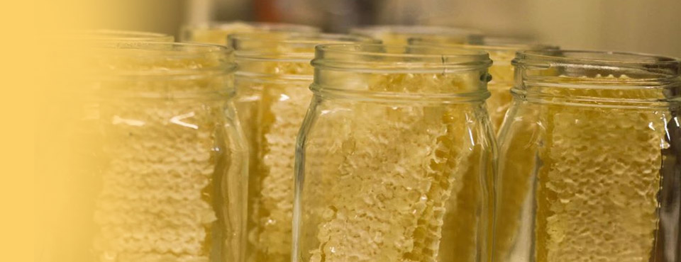Natural Raw Honey