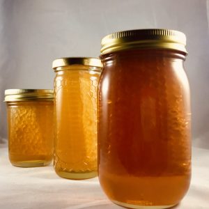 Comb Honey Large-1 jar
