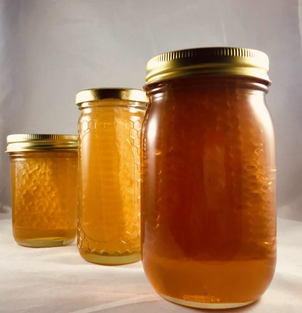 Comb Honey Large-1 jar