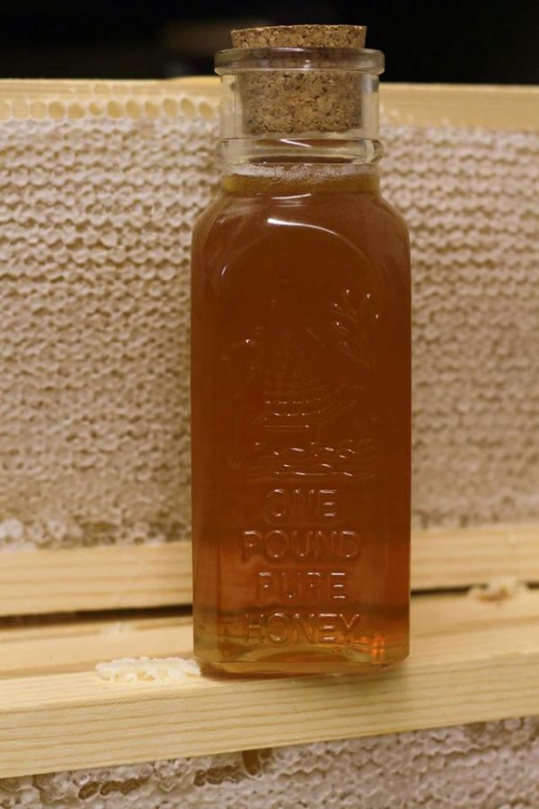 Comb Honey Muth