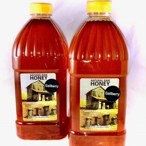 Gallberry Honey 10 Lbs