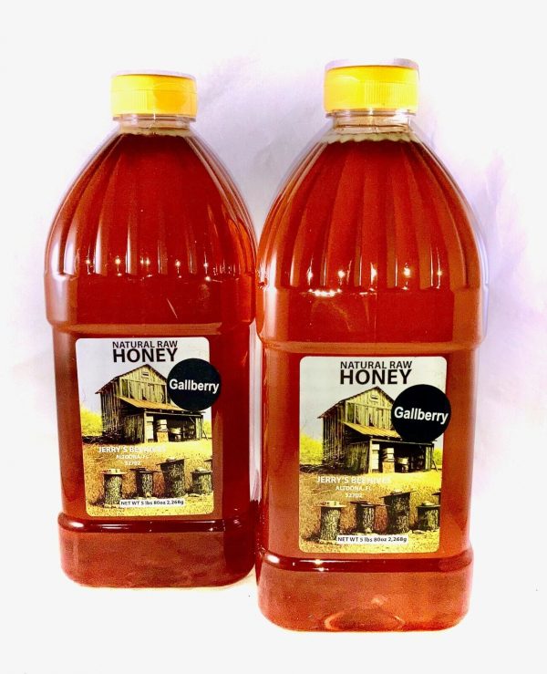 Gallberry Honey 10 Lbs
